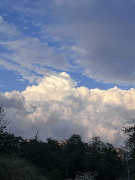 image_0ECEDB64-7F49-4BF4-AD43-6F2374D64304_1777580488