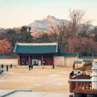 image_666170A0-BD83-43F5-98FB-628182DFFC8A_1787879439 