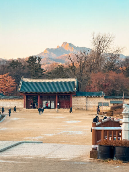 image_666170A0-BD83-43F5-98FB-628182DFFC8A_1787879439