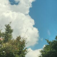 20260814_101844 