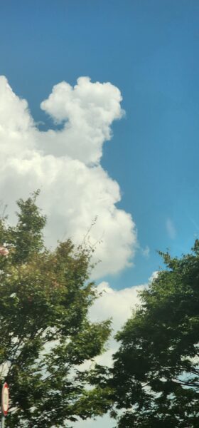 20260814_101844